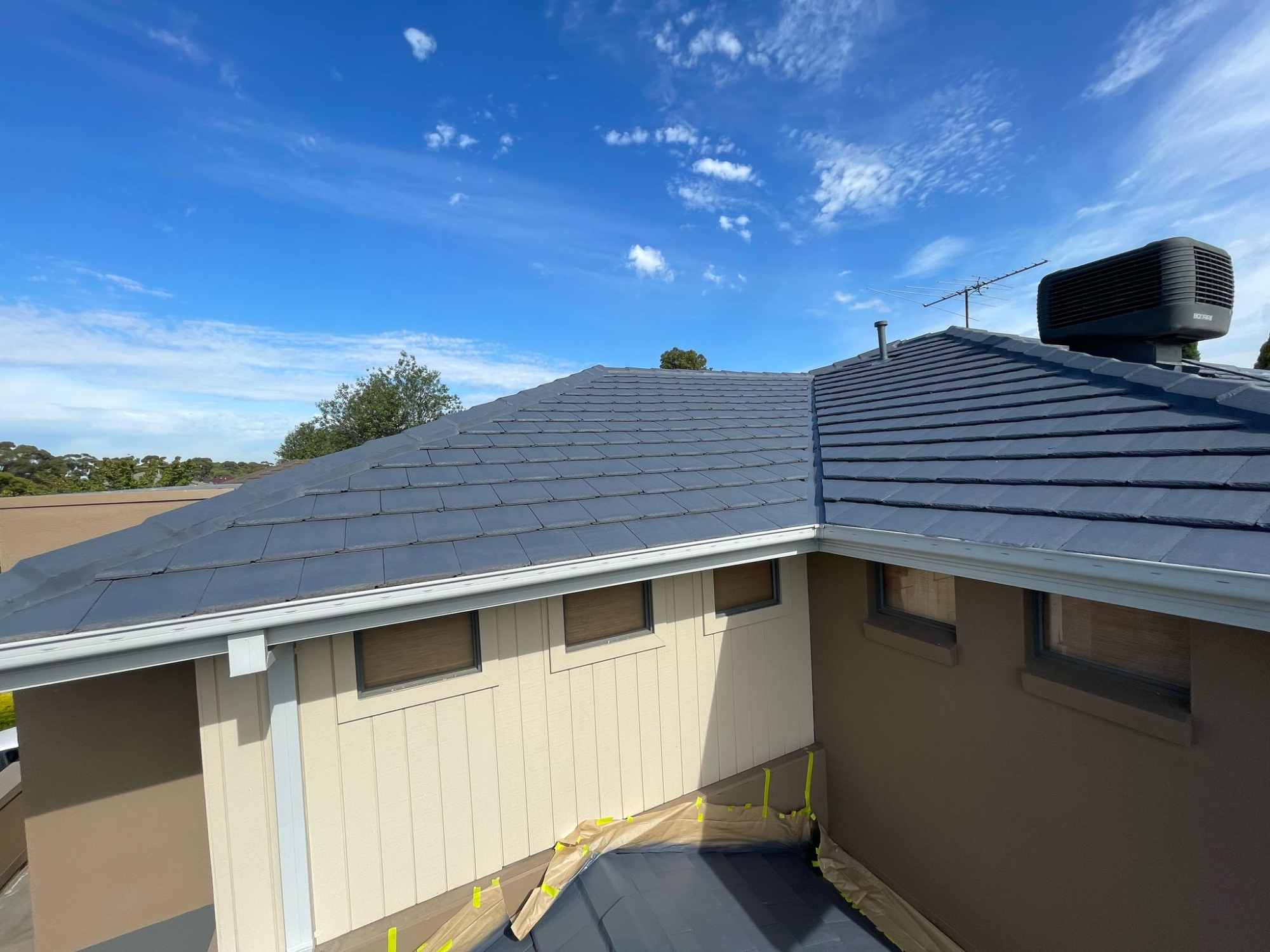 Roof Painting