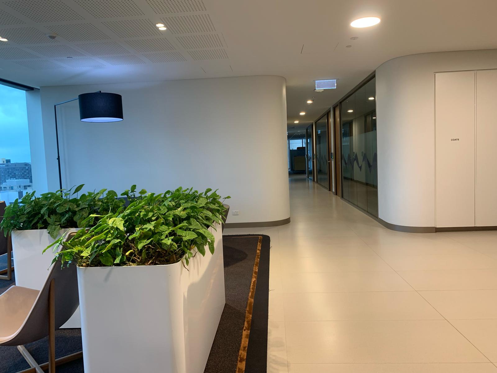 Commercial Painting